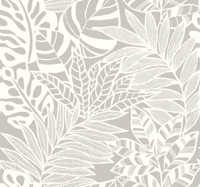 Jungle Leaves Wallpaper - Gray Wallpaper