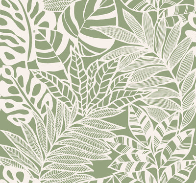 Jungle Leaves Wallpaper - Green Wallpaper