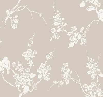 Imperial Blossoms Branch Wallpaper - Taupe Wallpaper