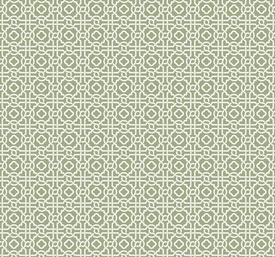 Pergola Lattice Wallpaper - Green Wallpaper
