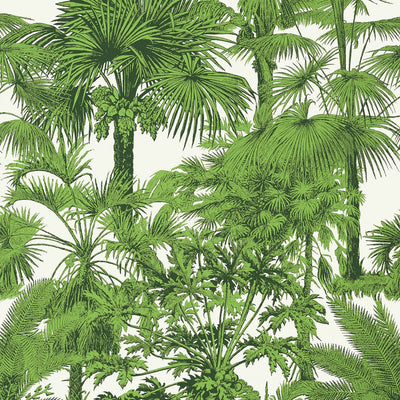 Palm Botanical - Emerald Green Wallpaper