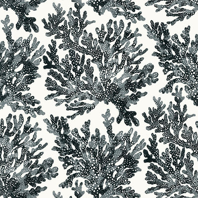 Marine Coral - Black Wallpaper