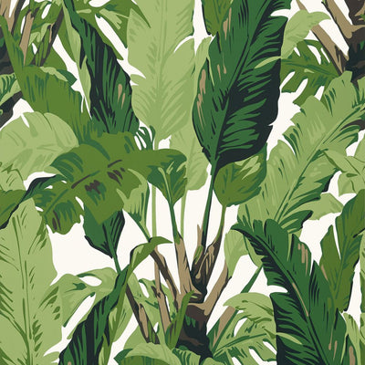 Travelers Palm - Green Wallpaper