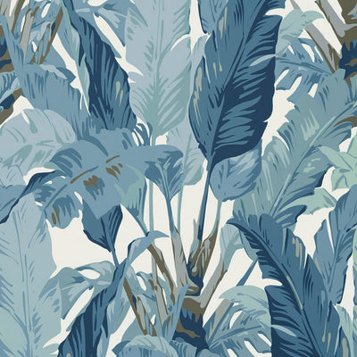 Travelers Palm - Spa Blue Wallpaper