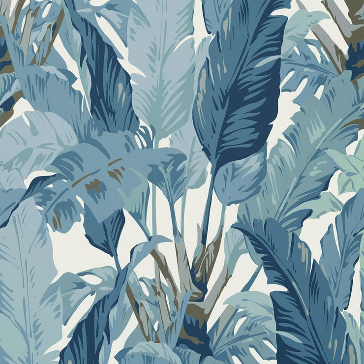 Travelers Palm - Spa Blue Wallpaper