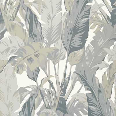 Travelers Palm - Grey Wallpaper