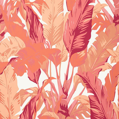 Travelers Palm - Pink and Coral Wallpaper