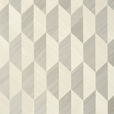 Paragon - Grey Wallpaper
