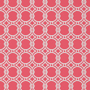 Gilon - Raspberry Wallpaper