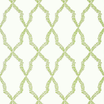 Mirador - Green Wallpaper