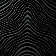 Zebra Stripes - Noir Wallpaper