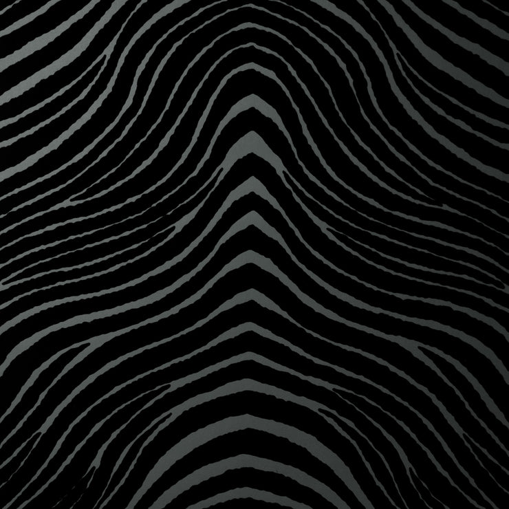 Zebra Stripes - Noir Wallpaper