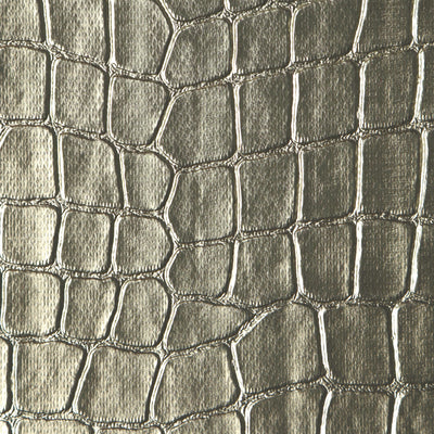 Crocodile - White Gold Wallpaper