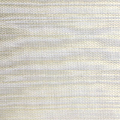 WND-239 Wallpaper