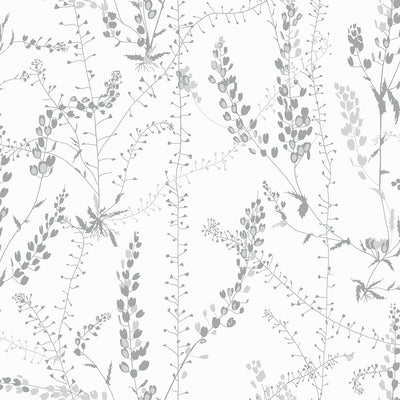 Bladranker Grey Botanical Wallpaper Wallpaper